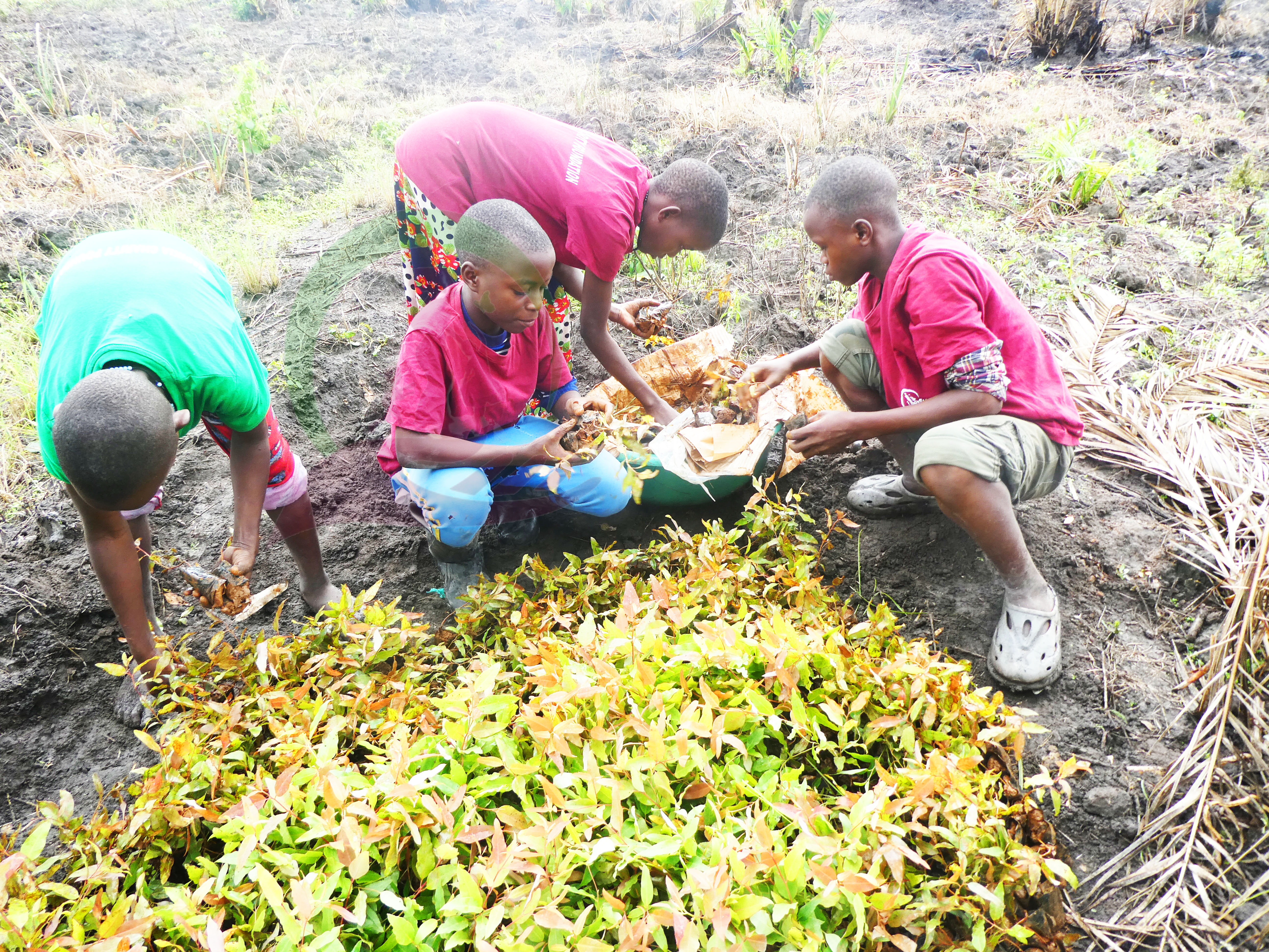 Smart Farming 2024